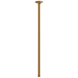 Gerber Plumbing - 24'' Ceiling Mount Showerarm w/ Escutcheon Brushed Bronze - Brushed Bronze