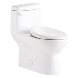 Avalanche CT 1.28gpf One-Piece Toilet ADA Elongated 12'' Rough-In White