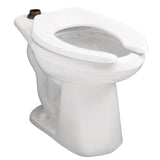 North Point 1.28/1.6gpf ADA Elongated Floor Mounted Top Spud Bowl 10'' Rough-In White