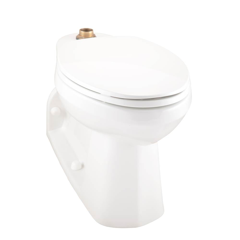 North Point 1.1/1.28/1.6gpf ADA Elongated Floor Mount Back Outlet Top Spud Bowl 4 -1/4'' Vertical Rough-In White