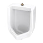 Gerber Plumbing - Monitor 0.125/0.5/1.0gpf Urinal Washout Top Spud Half Stall White - White