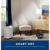 Dehumidifiers - Energy Star