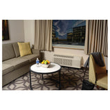 Zoneline Az65 Series, Electric Resist Heat, Mua With Uvc,230/208v