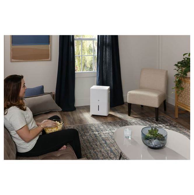 22 Pint ENERGY STAR  Portable Dehumidifier with Smart Dry for Damp Spaces