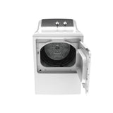 6.2 Cu. Ft. Capacity Aluminized Alloy Drum Gas Dryer