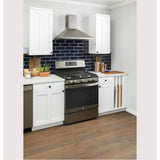 30'' Free-Standing Gas Convection Range with No Preheat Air Fry