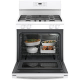 30'' GE  Fs Standard Clean Ranges - Gas