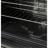 30'' GE  Fs Standard Clean Ranges - Gas