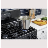 30'' GE  Fs Standard Clean Ranges - Gas