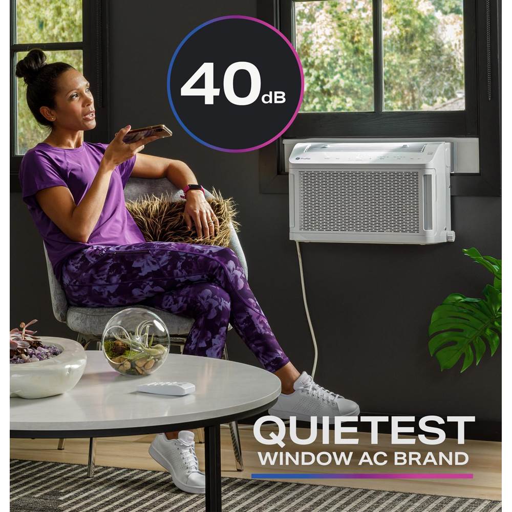 10,000 BTU Saddle E/Star Wifi Inverter Window Air Conditioner