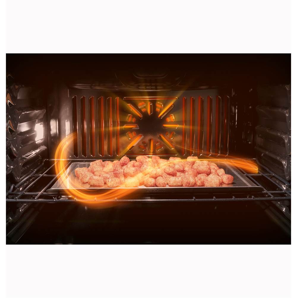 GE ProfileE Series 30'' Built-In Convection Double Wall Oven with Left-Hand Side-Swing Doors