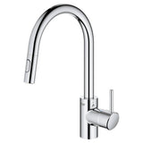 Single-Handle Pull Down Kitchen Faucet Dual Spray 1.5 GPM
