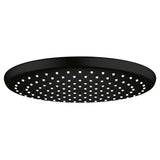 250 Rain Shower Head, 9 7/8 - 1 Spray, 1.75 gpm