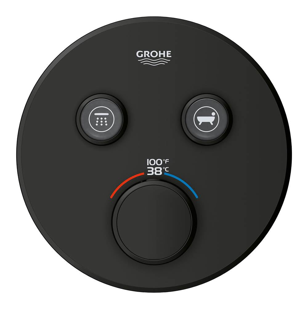 Dual Function Thermostatic Valve Trim
