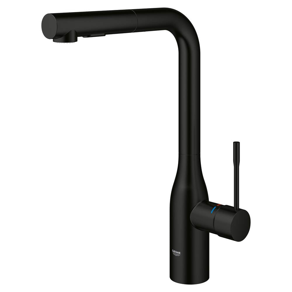 Single-Handle Pull-Out Kitchen Faucet Dual Spray 1.75 GPM