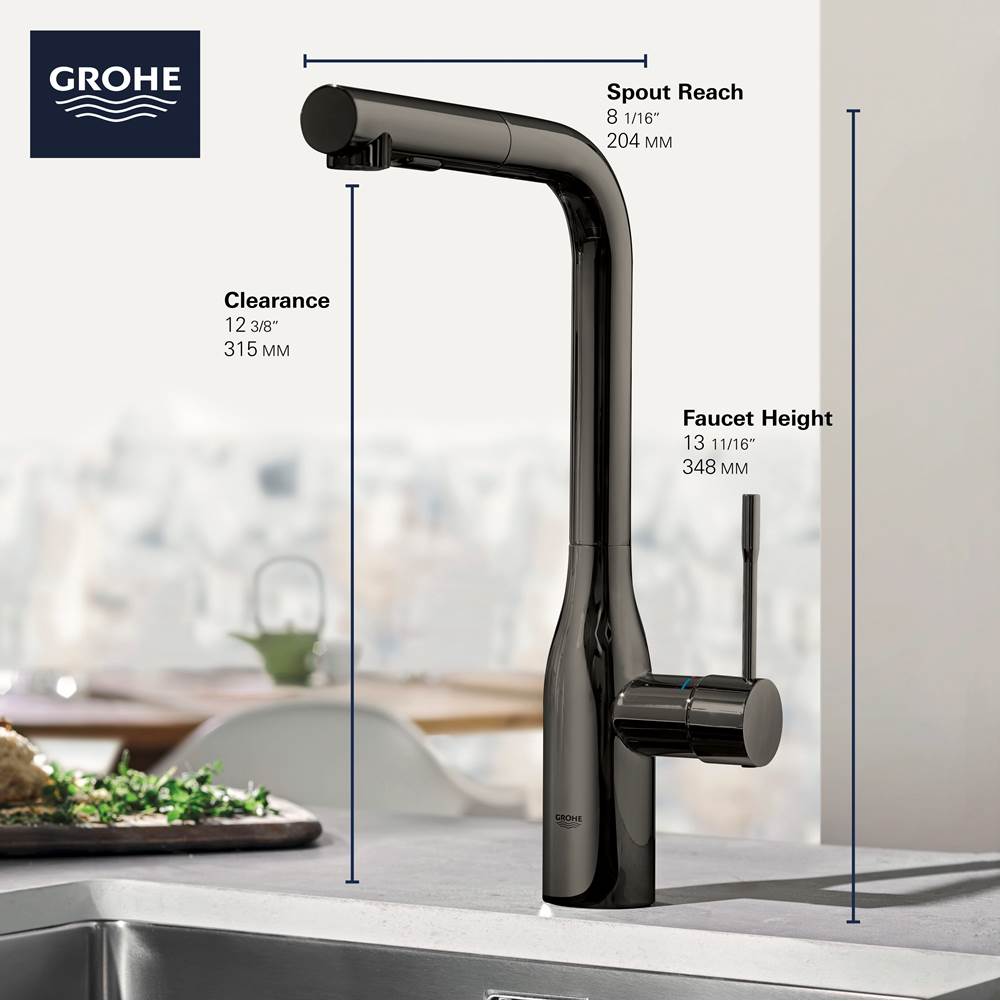Single-Handle Pull-Out Kitchen Faucet Dual Spray 1.75 GPM