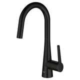 Single-Handle Pull Down Kitchen Faucet Dual Spray 1.75 GPM