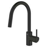 Concetto Single-Handle Pull-Down Kitchen Faucet Dual Spray 1.75 GPM