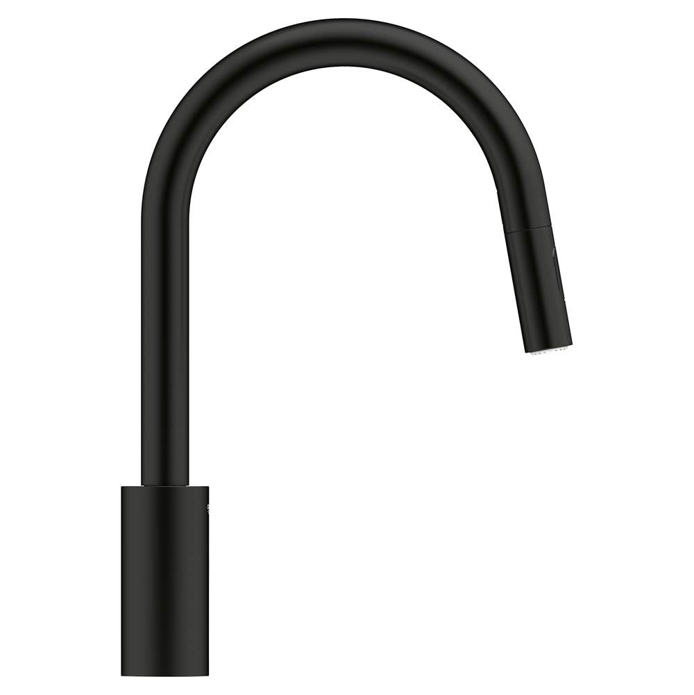 Concetto Single-Handle Pull-Down Kitchen Faucet Dual Spray 1.75 GPM