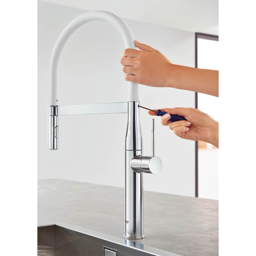 GrohFlexx Kitchen Hose Spout