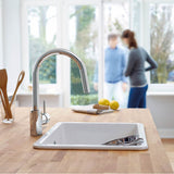 Concetto Single-Handle Pull-Down Kitchen Faucet Dual Spray 1.75 GPM