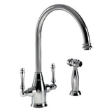 Hamat - Exeter Traditional Brass Faucet with Side Spray in Polished Nickel - Polished Nickel