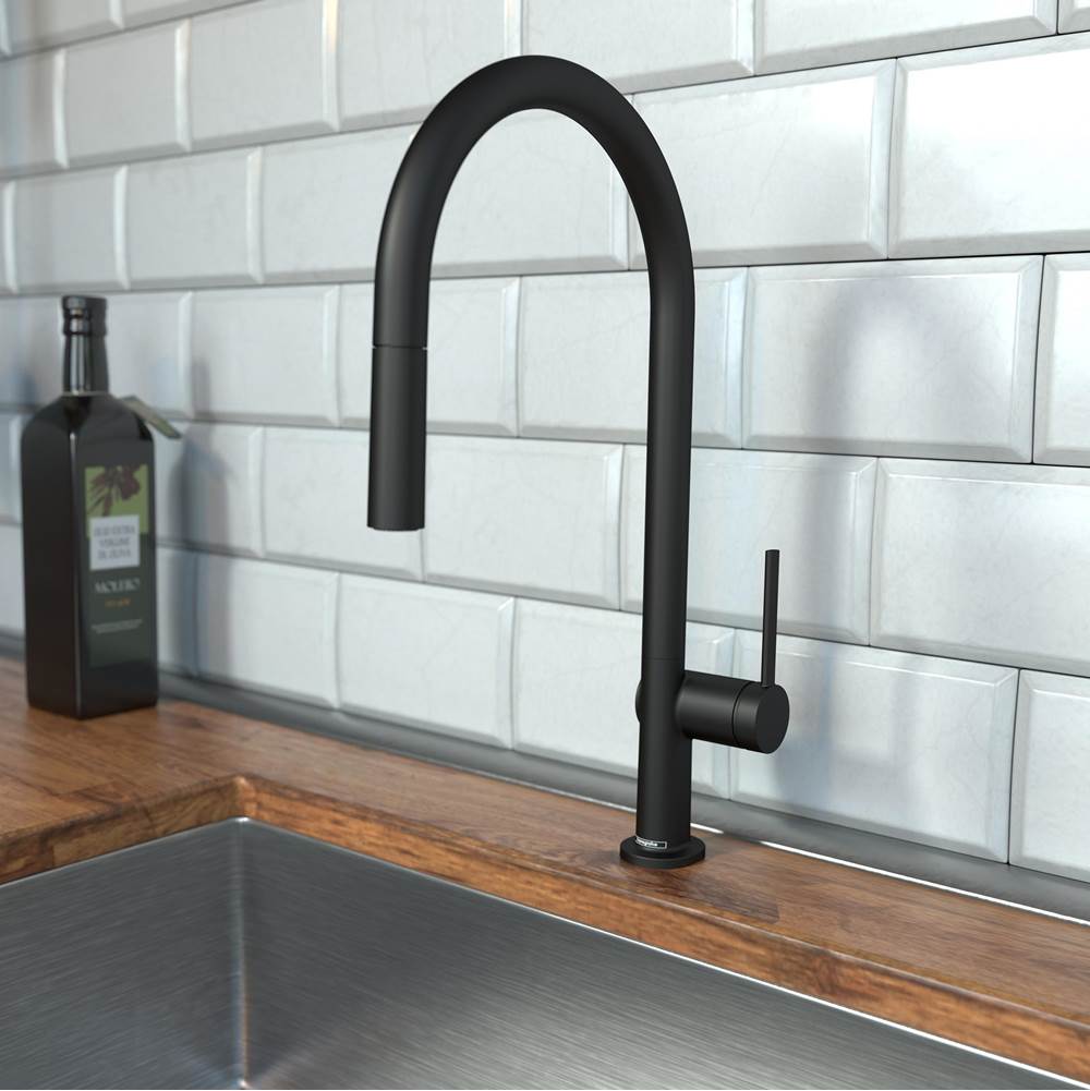 Talis N HighArc Kitchen Faucet, O-Style 2-Spray Pull-Down, 1.5 GPM in Chrome