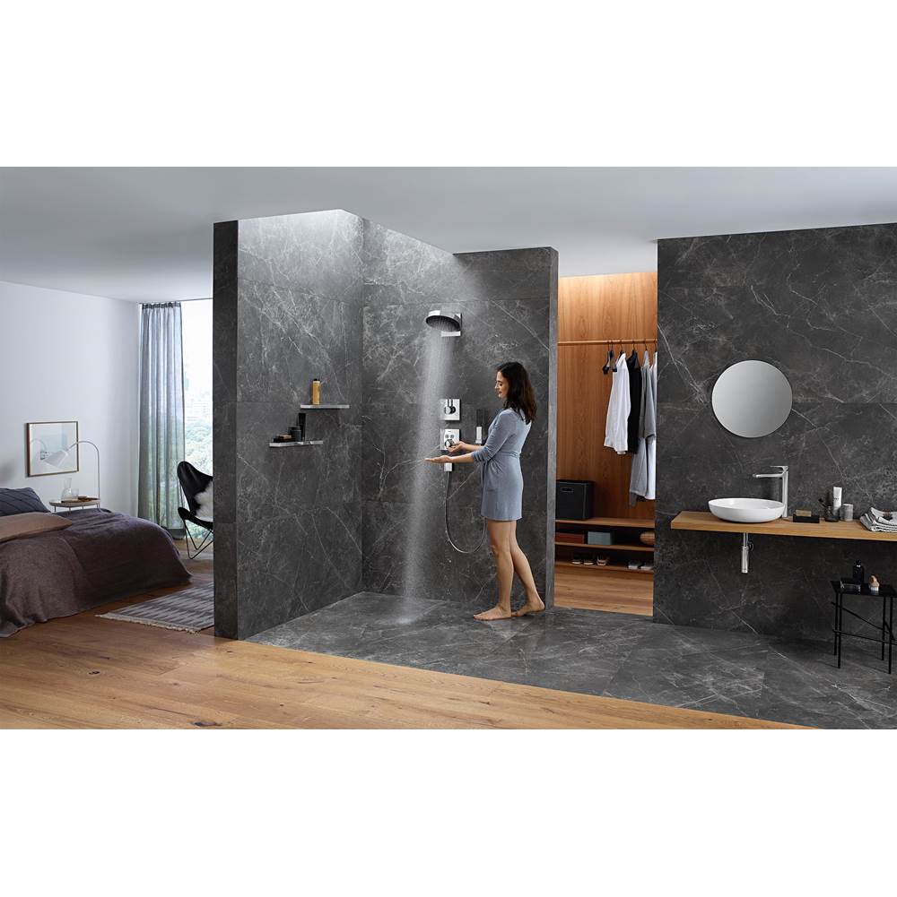 Rainfinity Showerhead 250 1-Jet, 2.5 GPM in Chrome