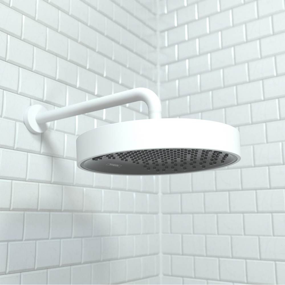 Rainfinity Showerhead 250 1-Jet, 2.5 GPM in Chrome