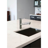 Pull-Out Kitchen Faucet, Chrome