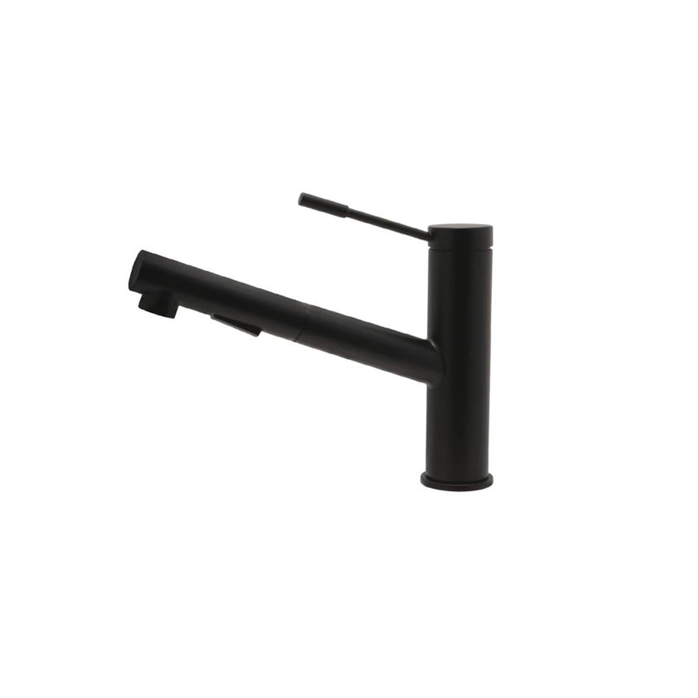 Pull-Out Kitchen Faucet, Chrome