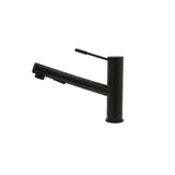 Pull-Out Kitchen Faucet, Chrome