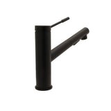 Pull-Out Kitchen Faucet, Chrome