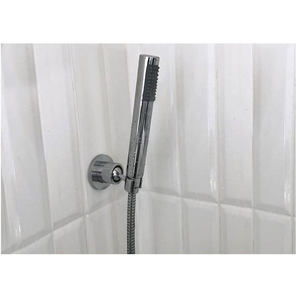 Euro Hand Shower, Chrome