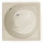 Hydro Systems - FUJI 4040 GC TUB ONLY-ALMOND - Almond
