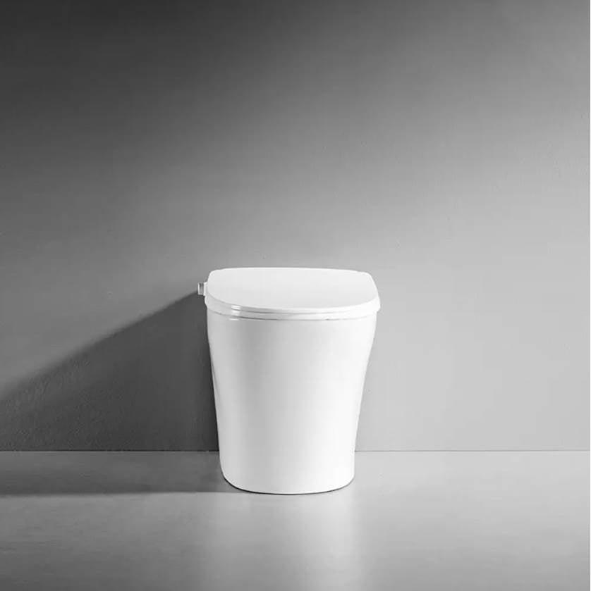 SMART CS-17 Tankless Toilet (includes seat and bowl) White