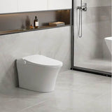 SMART CS-17 Tankless Toilet (includes seat and bowl) White