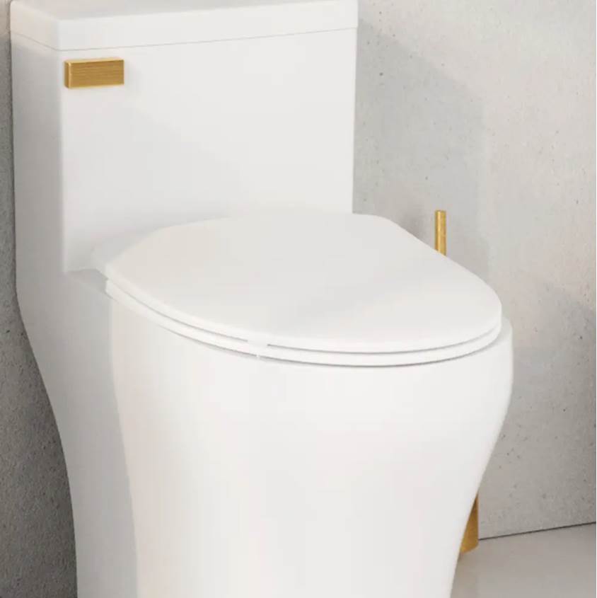 DuroPlast Seat Slim EL Silent Close Quick-Release White