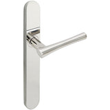INOX - BP Multipoint 214 Champagne Full Dummy US32 - Polished Stainless Steel