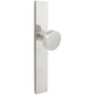 INOX - MU Multipoint 379 Arctic Hf Psge/Hf Dmy Lvr Hi US32 NH - Polished Stainless Steel