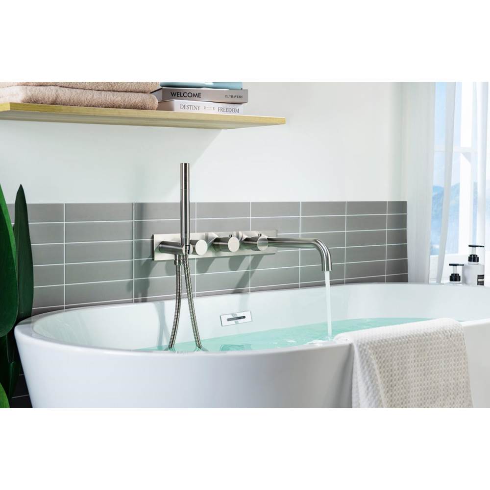 Wall Mount Tub Filler With Hand Shower