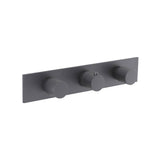 Isenberg By Flusso - 3/4'' Horizontal Thermostatic Valve with 2 Volume Controls &  Trim - Dark Grey