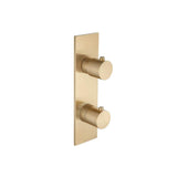 Isenberg By Flusso - Trim For Thermostatic Valve - Brushed Bronze Pvd