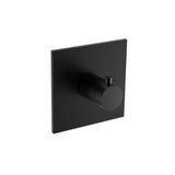 Isenberg By Flusso - 3/4'' Thermostatic Valve With Trim - Gloss Black
