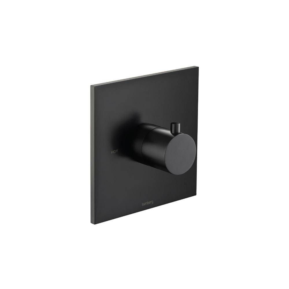 Isenberg By Flusso - Trim For 3/4'' Thermostatic Valve - Use with TVH.4201 - Matte Black