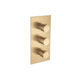 Isenberg By Flusso - Trim For Thermostatic Valve - Brushed Bronze Pvd