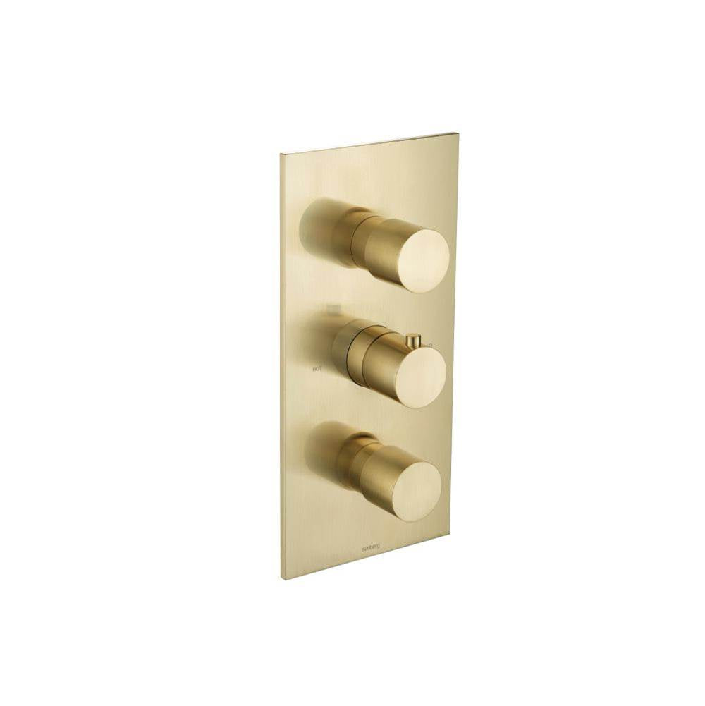 Isenberg By Flusso - Trim For Thermostatic Valve - Satin Brass PVD