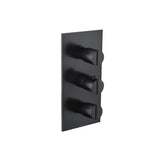 Isenberg By Flusso - 3/4'' Thermostatic Valve and Trim - 2 Outputs - Matte Black