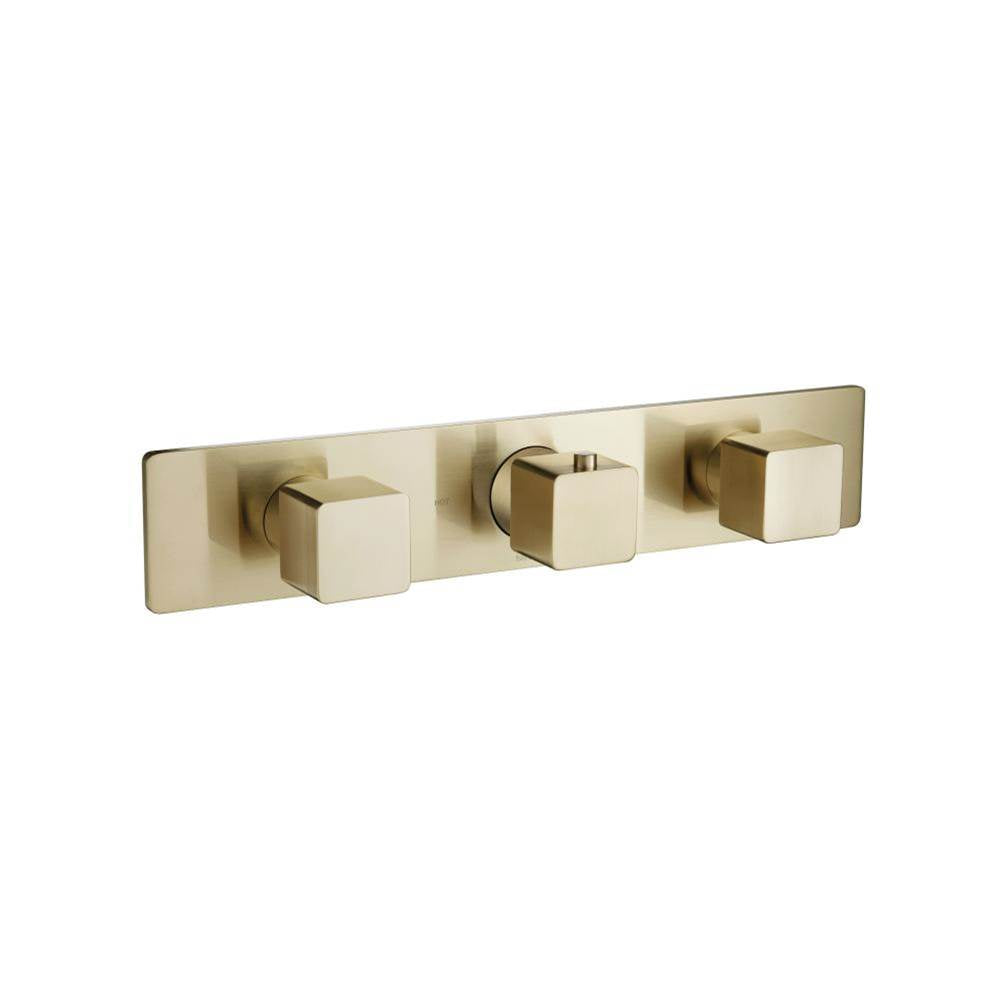 Isenberg By Flusso - 3/4'' Horizontal Thermostatic Valve with 2 Volume Controls &  Trim - Satin Brass PVD