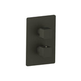 Isenberg By Flusso - 3/4'' Thermostatic Shower Valve & Trim - 1 Output - Dark Green